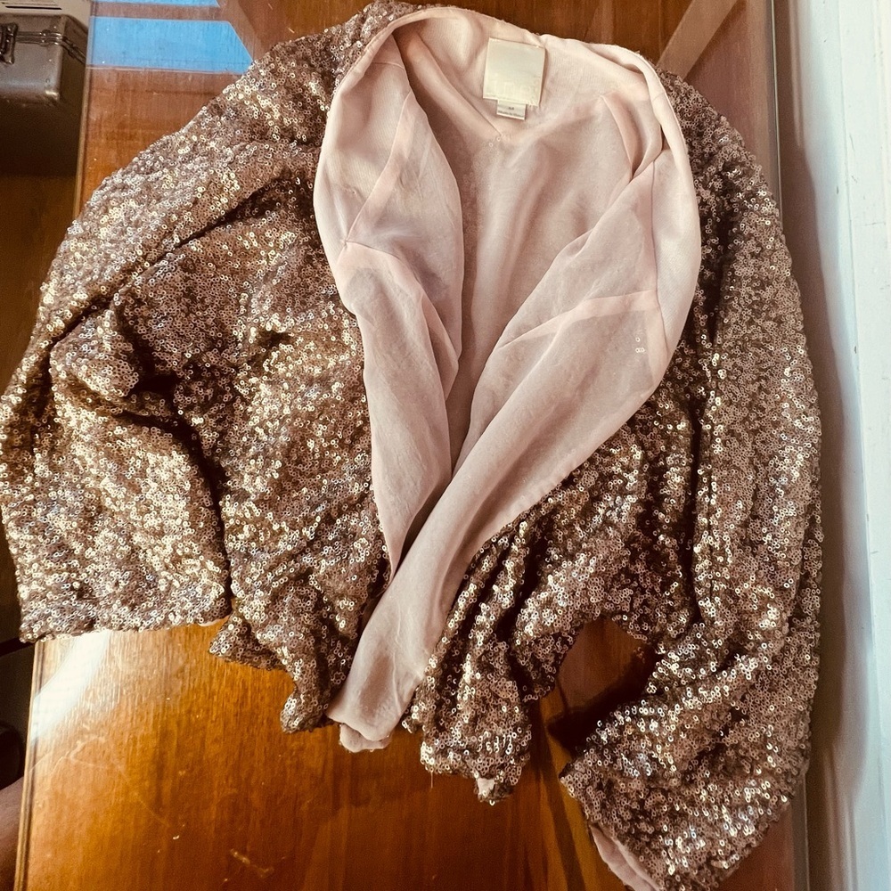 Sequin Line & Dot Rose Gold Jacket - Picture 9 of 17